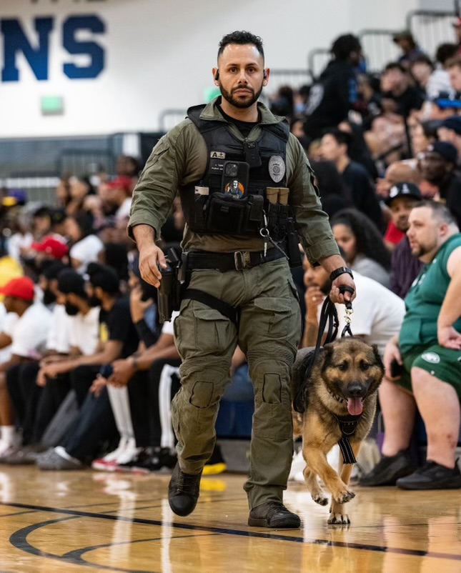 A detection canine searching cargo